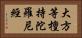 大方等檀持陀羅尼經 Horizontal Portrait