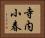寺内小春 Horizontal Portrait