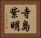 寺島紫明 Horizontal Portrait