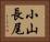 小山長尾 Horizontal Portrait