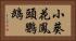 小葵花鳳頭鸚鵡 Horizontal Portrait