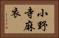 小野寺麻衣 Horizontal Portrait
