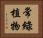 常綠植物 Horizontal Portrait