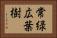 常緑広葉樹 Horizontal Portrait
