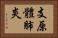 支原體肺炎 Horizontal Portrait