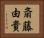 斎藤由貴 Horizontal Portrait