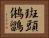 斑頭鵂鶹 Horizontal Portrait