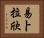 易卜拉欣 Horizontal Portrait