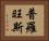 普羅旺斯 Horizontal Portrait