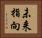 未来指向 Horizontal Portrait