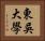 東吳大學 Horizontal Portrait