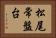 松尾常盤台 Horizontal Portrait