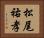 松尾祐孝 Horizontal Portrait