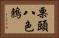 栗頭八色鶇 Horizontal Portrait
