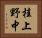桂上野中 Horizontal Portrait