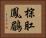 棕肛鳳鶥 Horizontal Portrait
