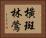 橫斑林鶯 Horizontal Portrait