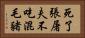 死了張屠夫，不吃混毛豬 Horizontal Portrait
