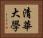 清華大學 Horizontal Portrait