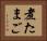煮たまご Horizontal Portrait