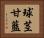 球茎甘藍 Horizontal Portrait