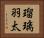 瑠璃羽太 Horizontal Portrait