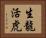 生龍活虎 Horizontal Portrait