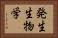 発生生物学 Horizontal Portrait