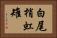 白尾梢虹雉 Horizontal Portrait