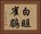 白眶雀鶥 Horizontal Portrait