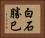 白石勝巳 Horizontal Portrait