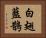 白翅藍鵲 Horizontal Portrait
