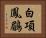 白項鳳鶥 Horizontal Portrait