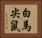 白馬尖鼠 Horizontal Portrait