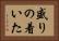 盛りの着いた Horizontal Portrait