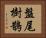盤尾樹鵲 Horizontal Portrait