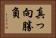 真っ向勝負 Horizontal Portrait