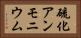 硫化アンモニウム Horizontal Portrait
