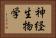 神経生物学 Horizontal Portrait