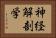 神経解剖学 Horizontal Portrait