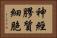 神經膠質細胞 Horizontal Portrait