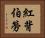 紅背伯勞 Horizontal Portrait