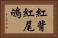 紅背紅尾鴝 Horizontal Portrait