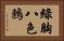 綠胸八色鶇 Horizontal Portrait