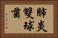 肺炎雙球菌 Horizontal Portrait