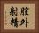 膣外射精 Horizontal Portrait