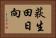 荻生田日向 Horizontal Portrait