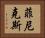 菲尼克斯 Horizontal Portrait