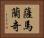 薩馬蘭奇 Horizontal Portrait