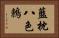 藍枕八色鶇 Horizontal Portrait